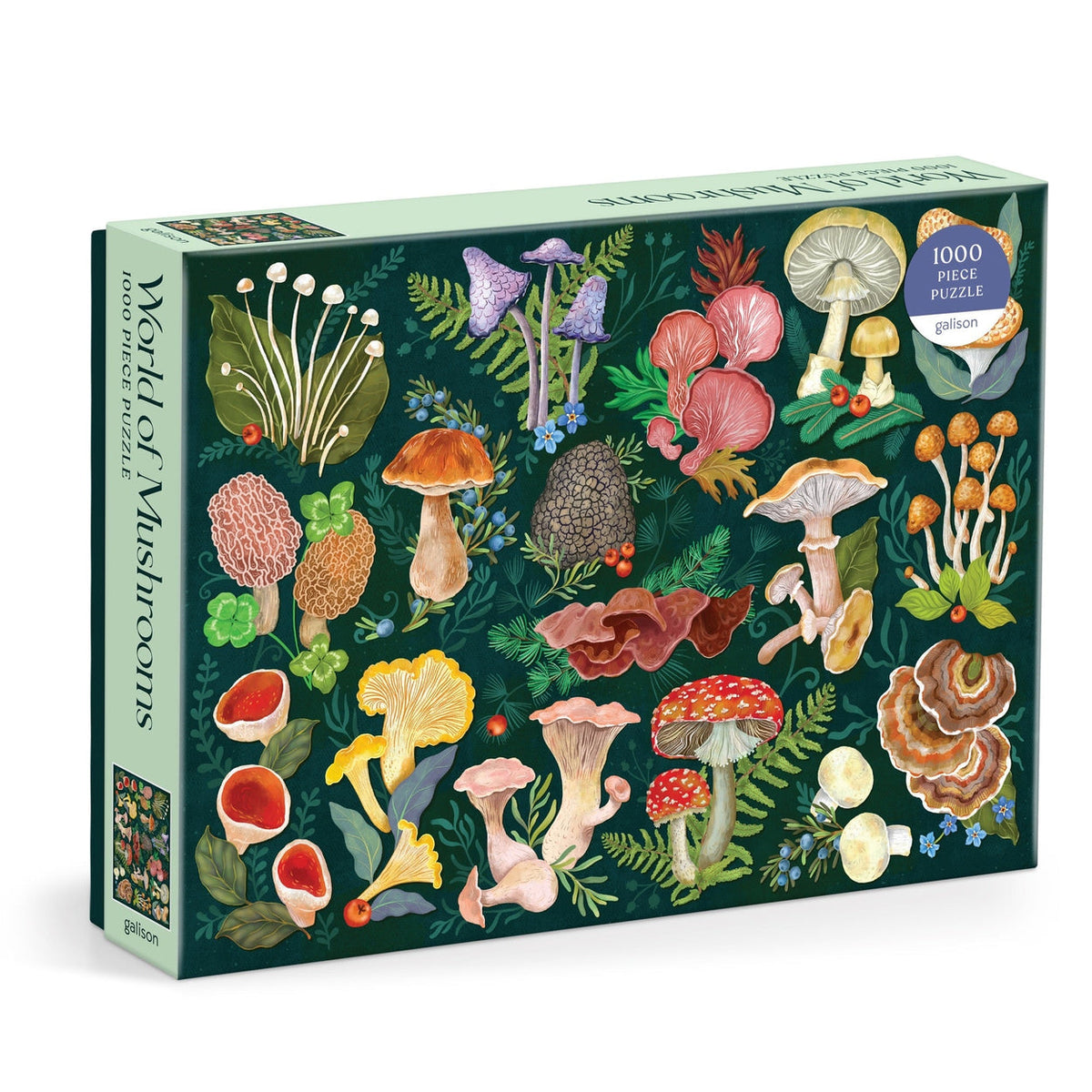 World of Mushrooms rompecabezas 1000 piezas
