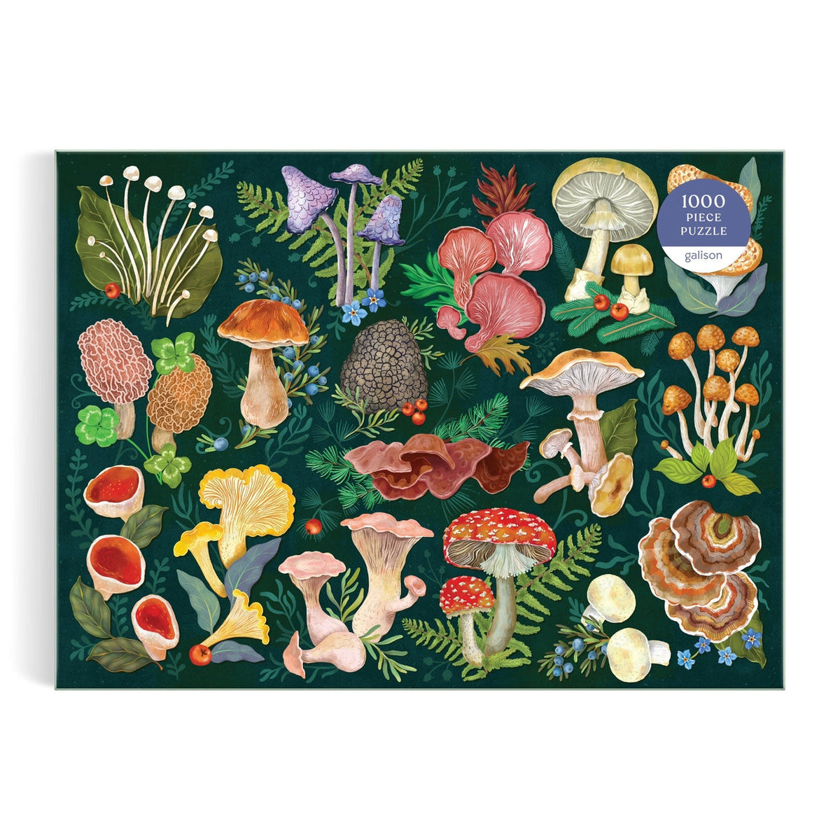 World of Mushrooms rompecabezas 1000 piezas
