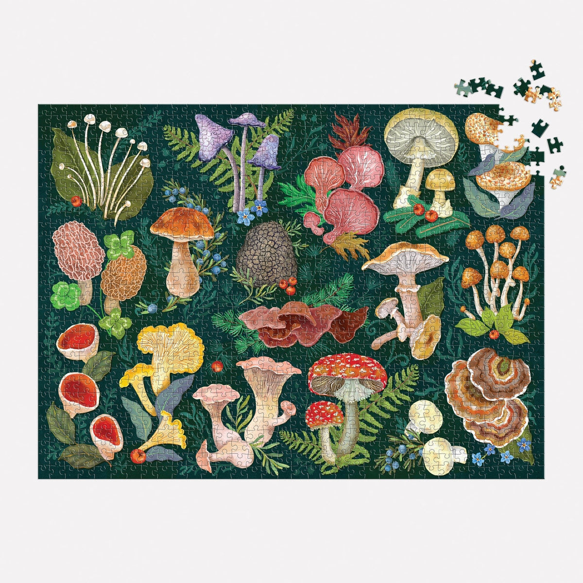 World of Mushrooms rompecabezas 1000 piezas