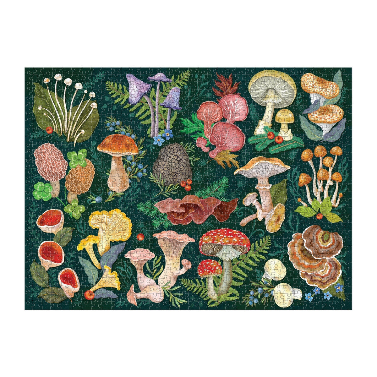 World of Mushrooms rompecabezas 1000 piezas